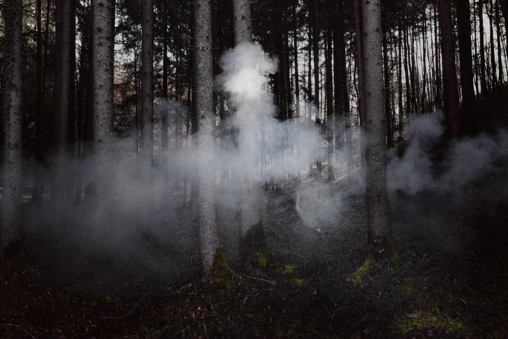 Smoke and Trees, 2015, 30X45cm carta alfa-cellulosa baritata 340g. - edizione di 5 - € 450,00