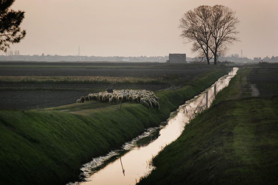 Po River #11, 2007, 30X45cm carta Hanemhulle Photo Rag Satin 310g. - edizione di
10 - € 450,00