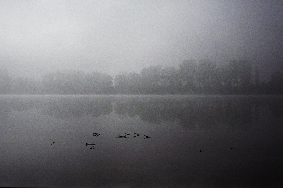 Po River #1, 2006, 30X45cm carta Hanemhulle Photo Rag Satin 310g. - edizione di
10 - € 400,00